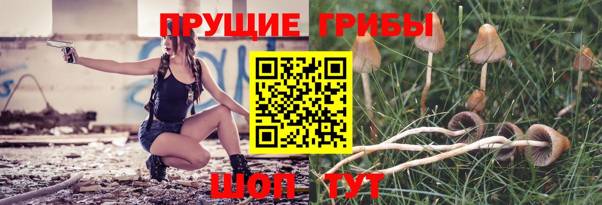 Галлюциногенные грибы Psilocybine cubensis  Галлюциногенные грибы мухоморы  Михайловка  Вход с VPN 